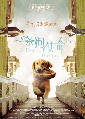 欧美一区视频在线