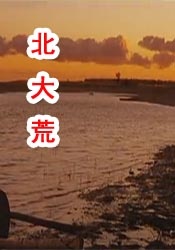 久久www免费人成看片入口