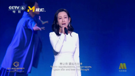 白马哥的女人